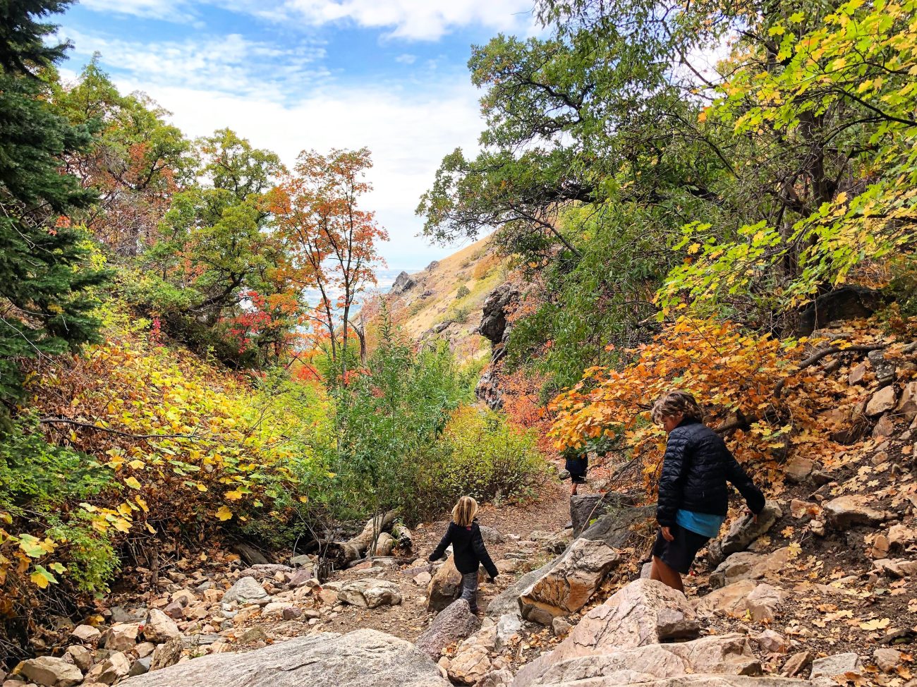 Ogden Fall