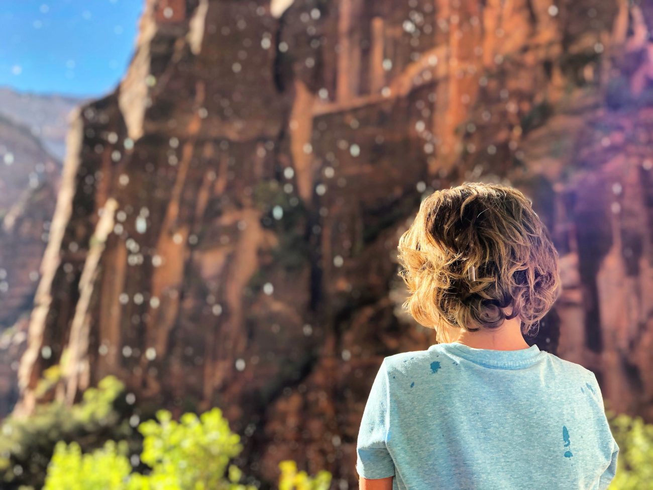 Zion Weeping Rock Jax