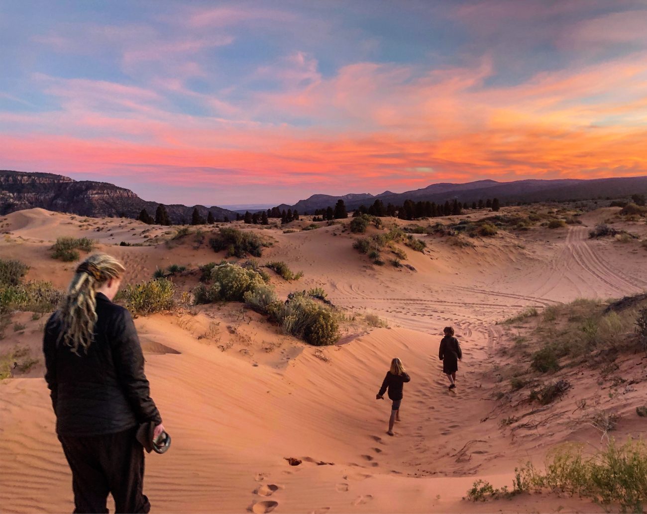 Coral Pink Sand Dunes