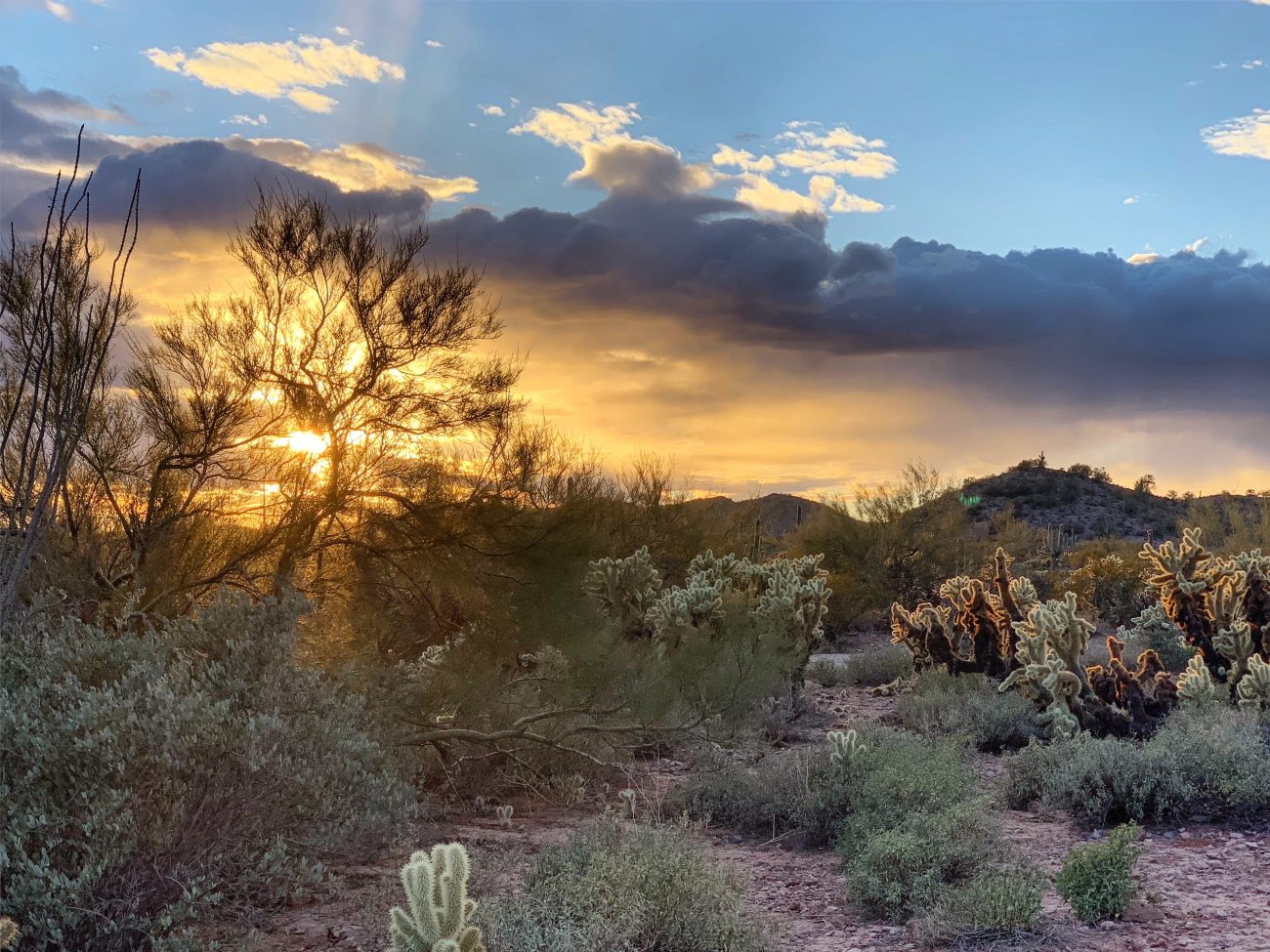 Wickenburg