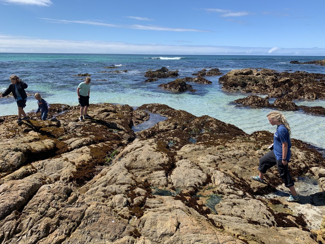 Monterey Bay Tide Pools