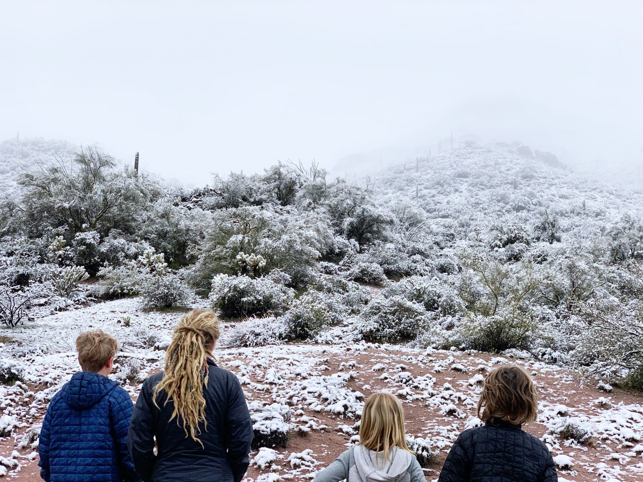 Snow in the Sonoran Desert