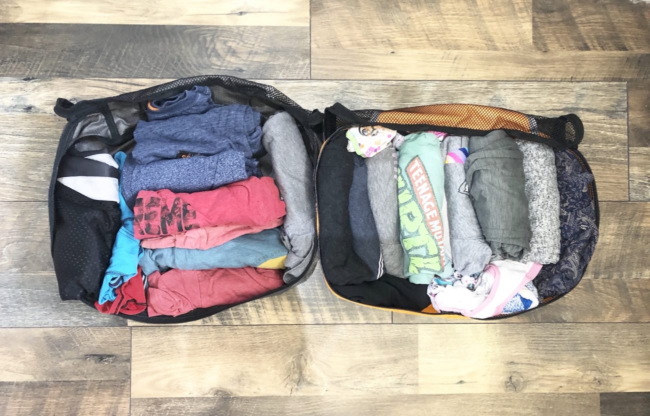 Ada and Jax's eBags Packing Cubes