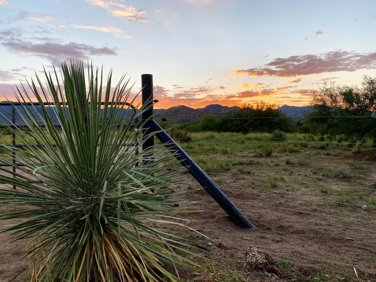 Fence Post Sunset