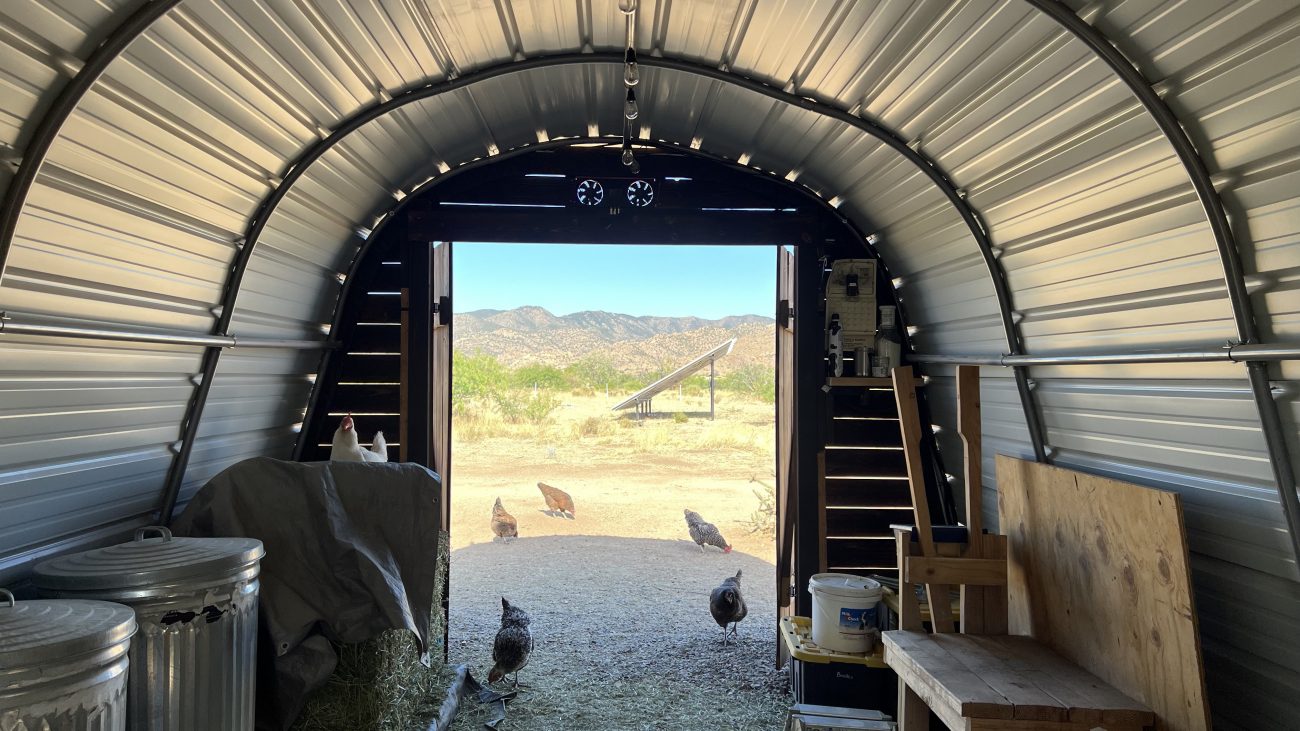 Feed Shed Facing Out 2