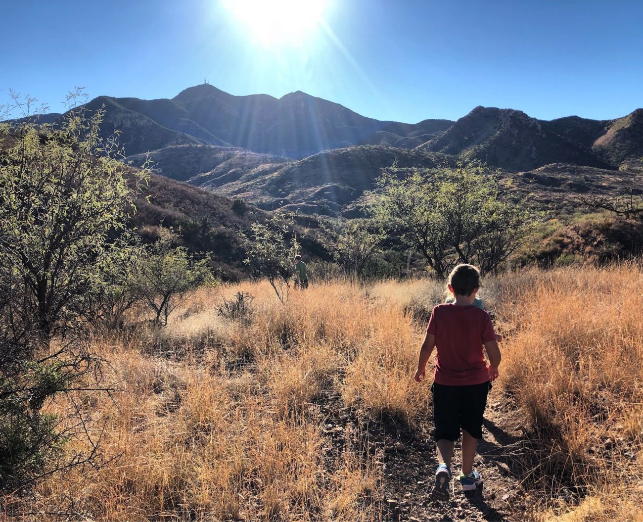 Hiking in Patagonia AZ