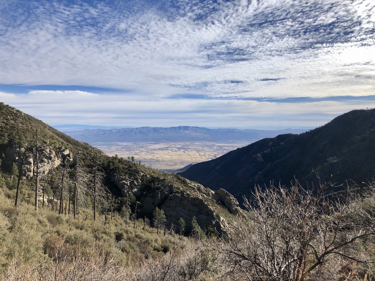 View out over the valley on the Crest Trail near Miller Peak