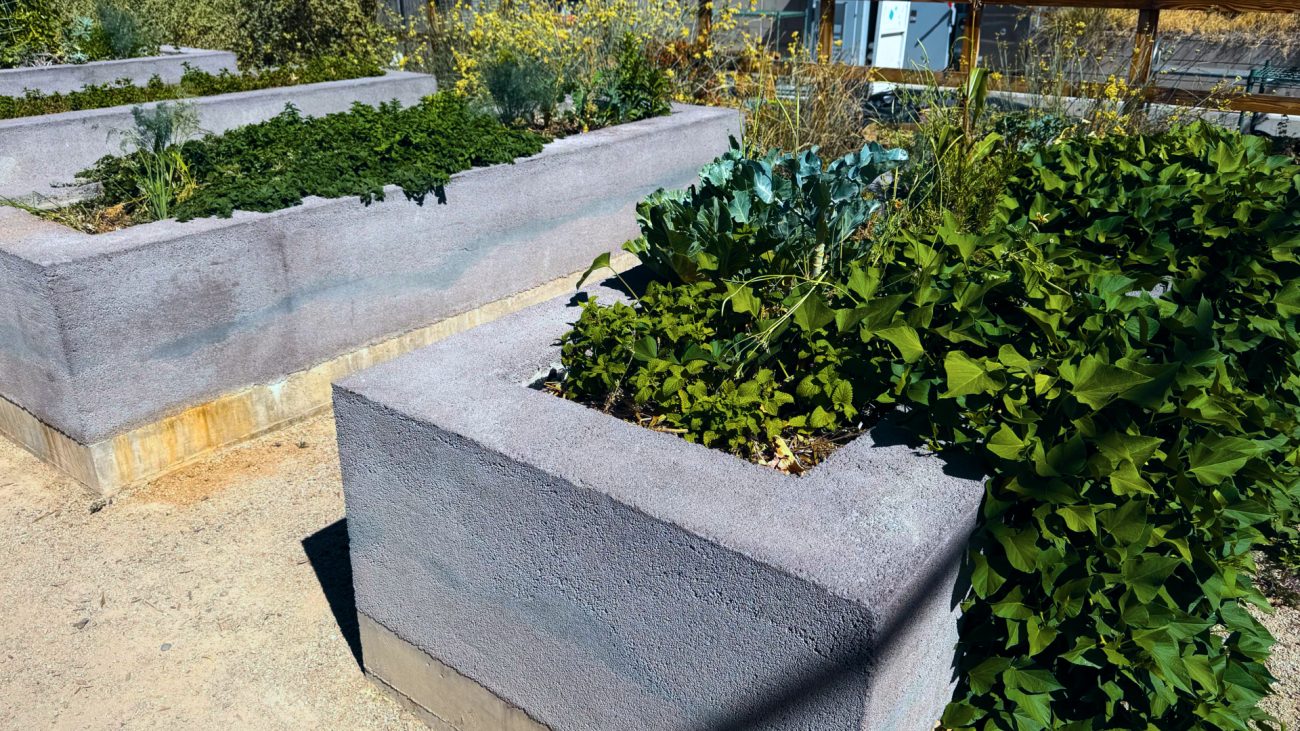 Lavacrete Garden Bed Images 1