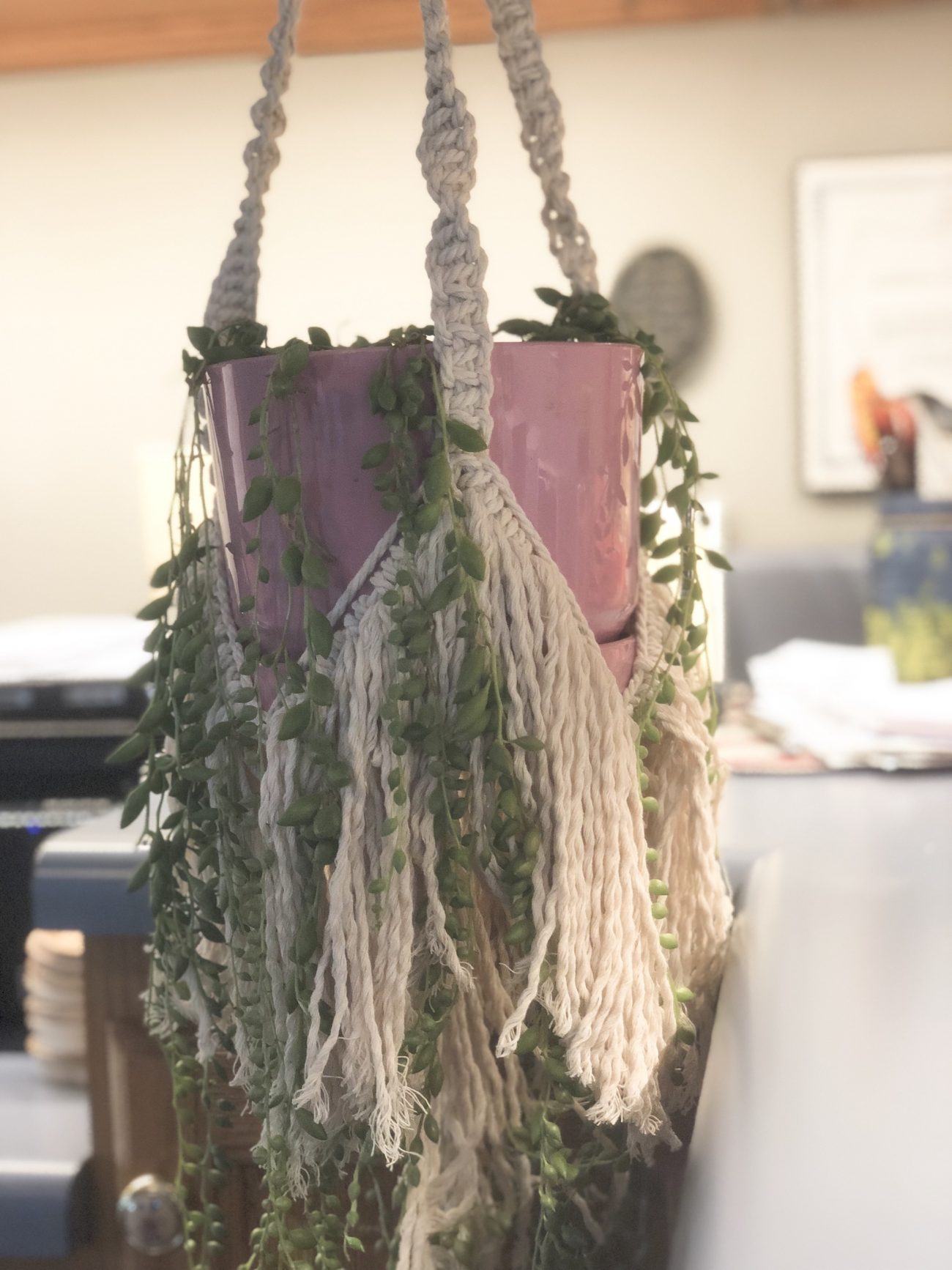 Macrame Plant Hanger