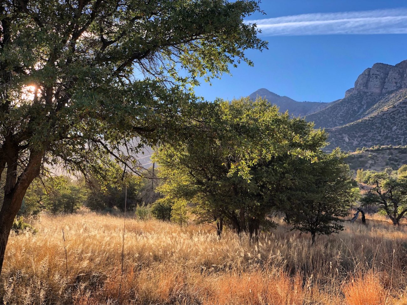 Miller Canyon Rec Area