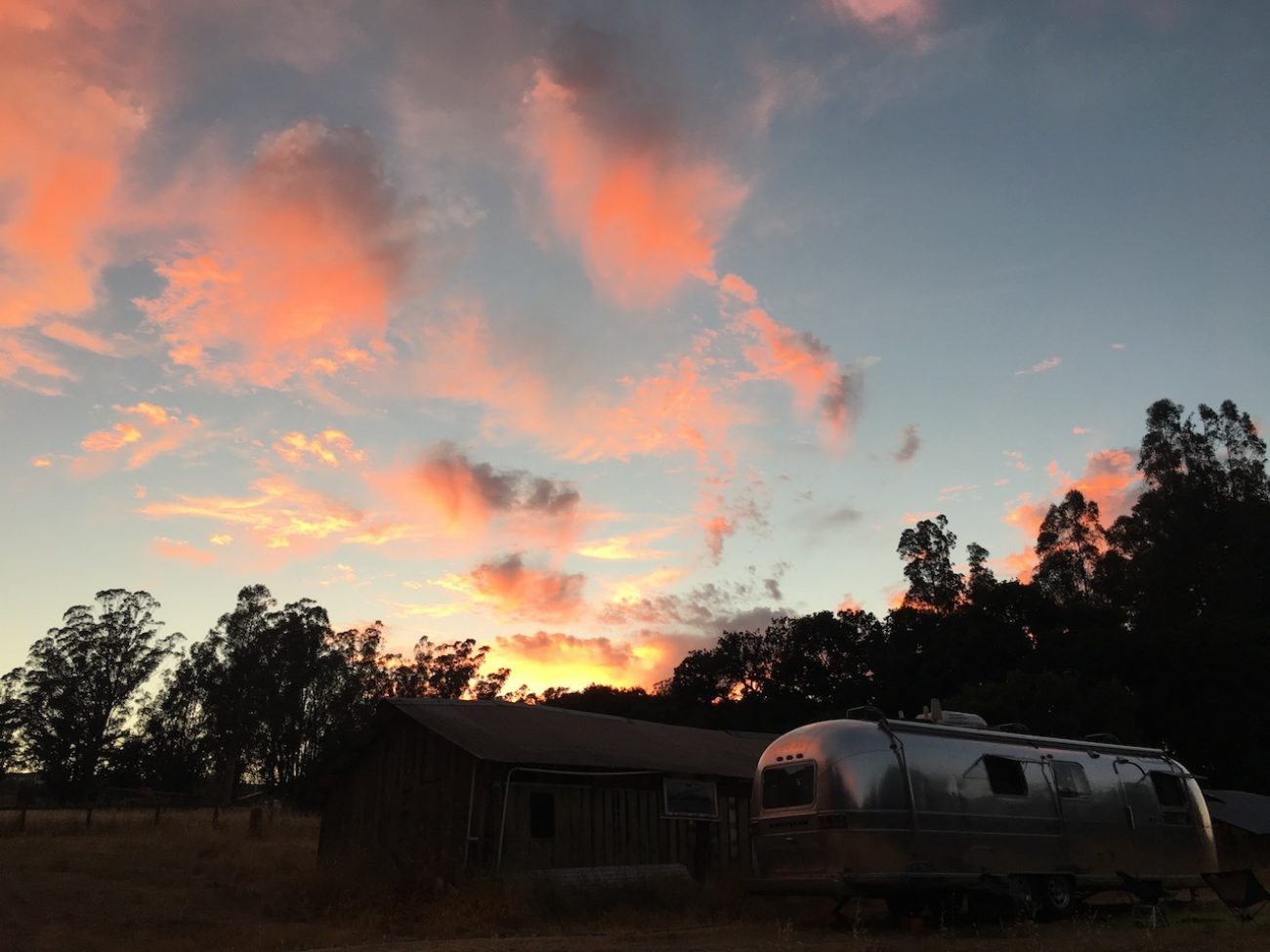 Petaluma farm