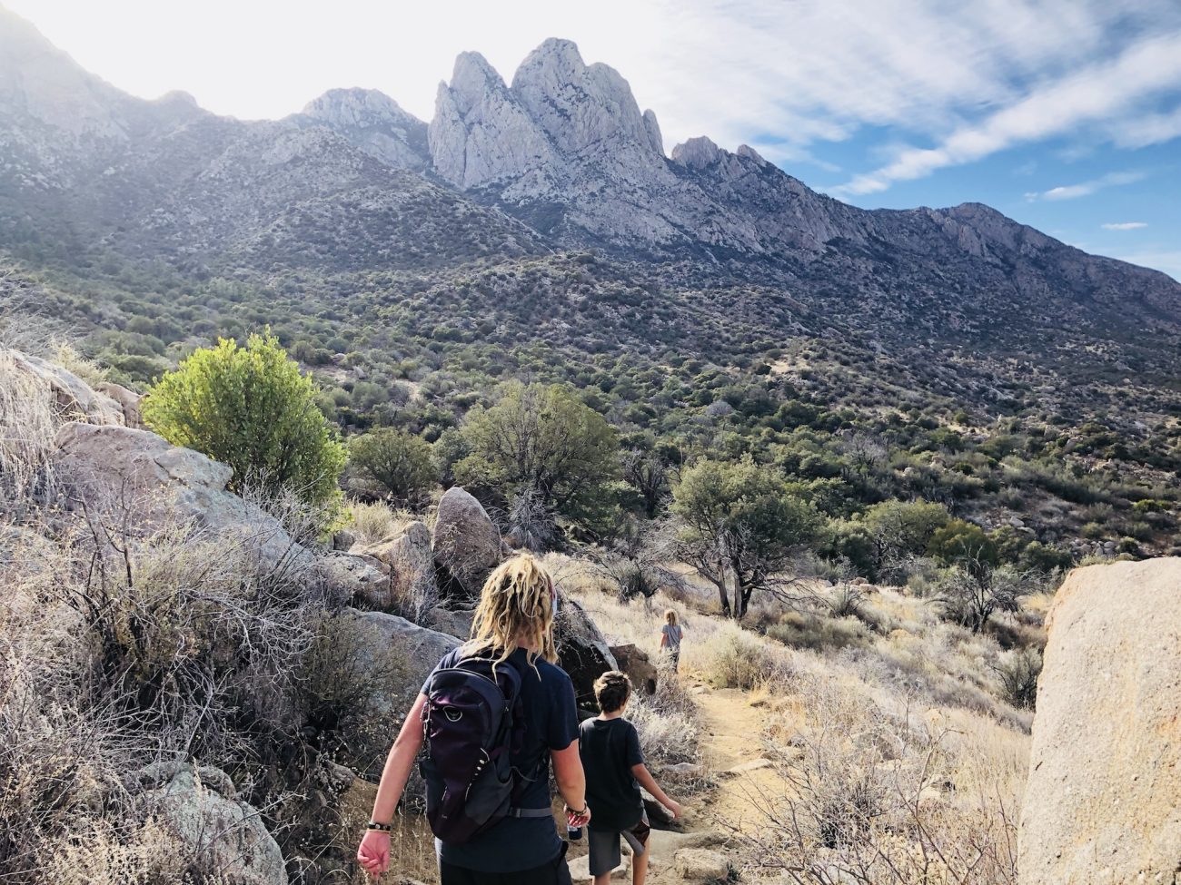 Pine Loop Trail at Aguirre Springs