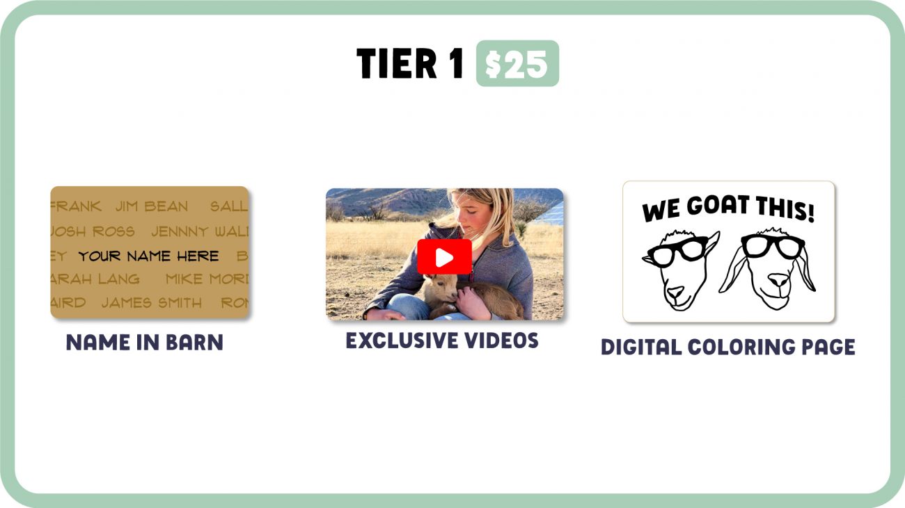 Tier 1 Web