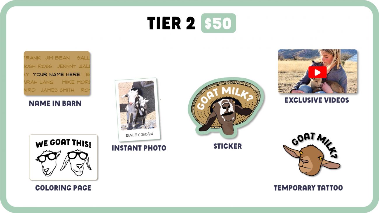 Tier 2 Web