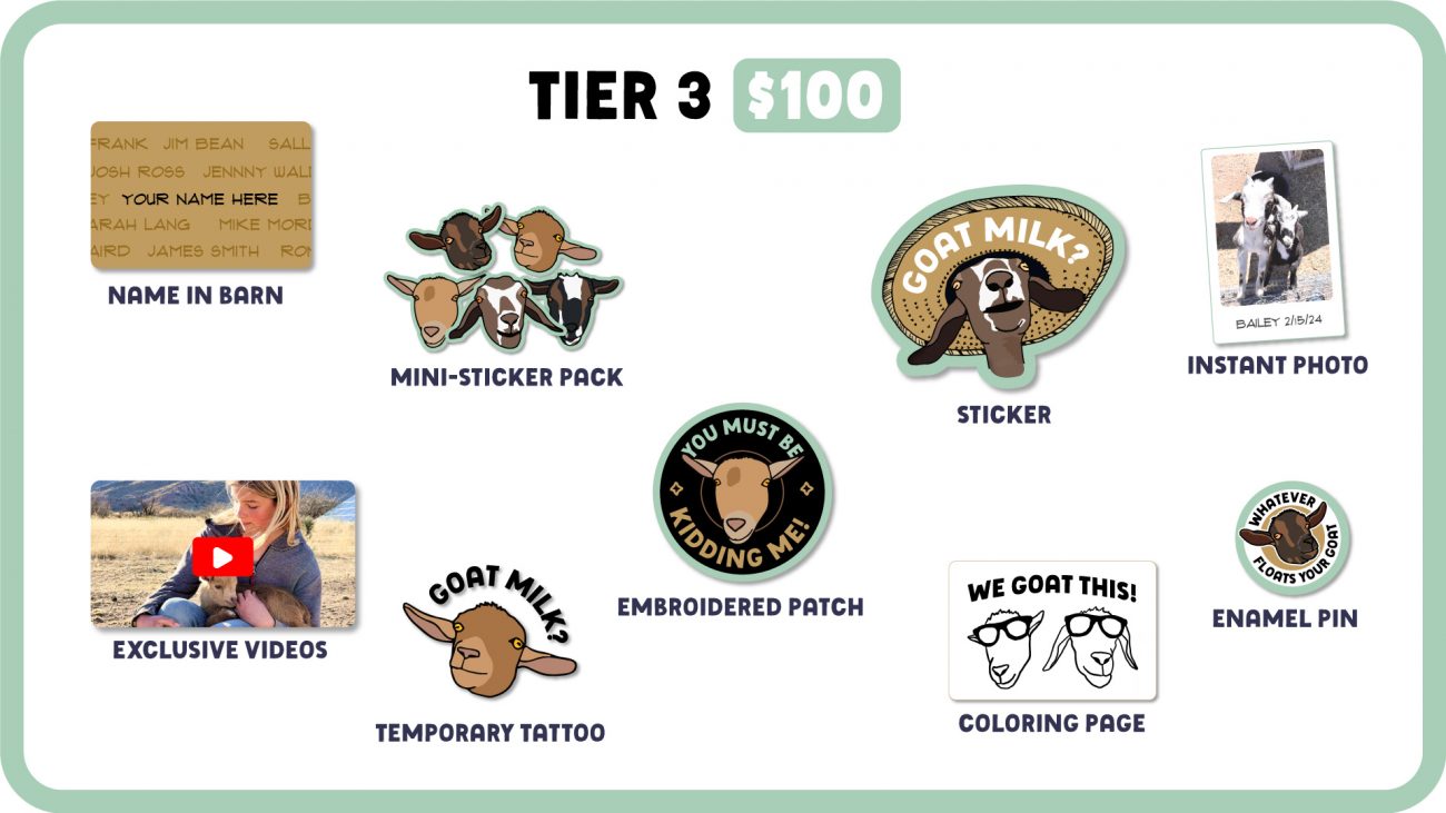 Tier 3 Web