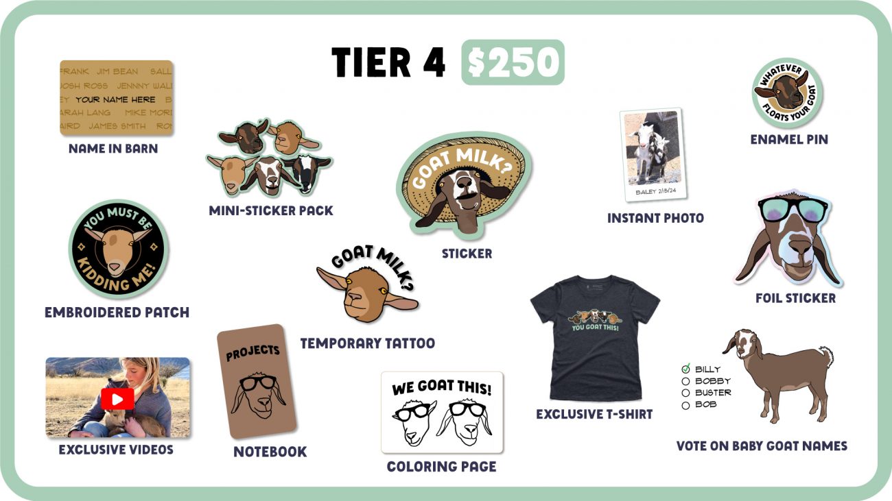 Tier 4 Web
