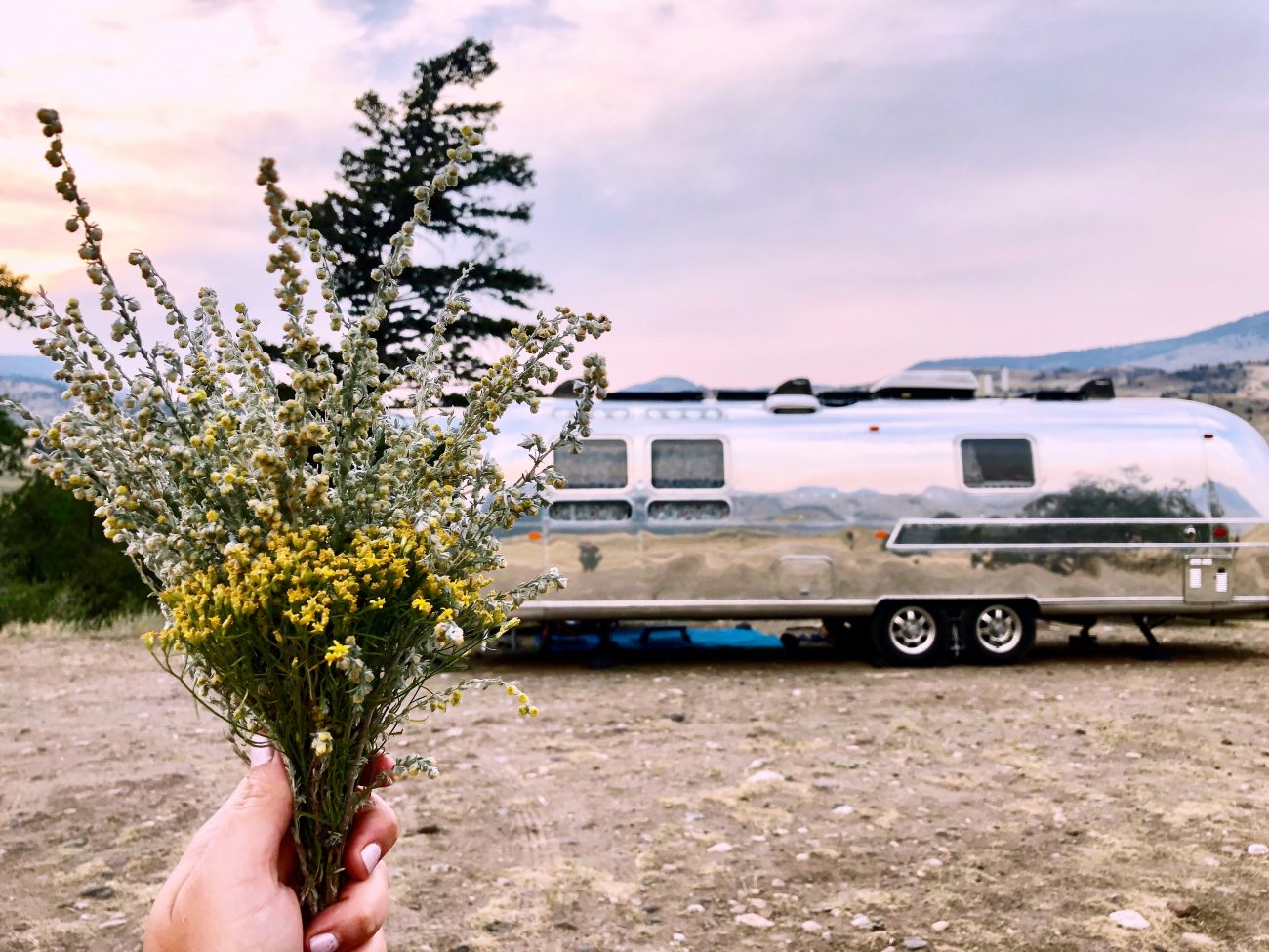 Visit Montana 2