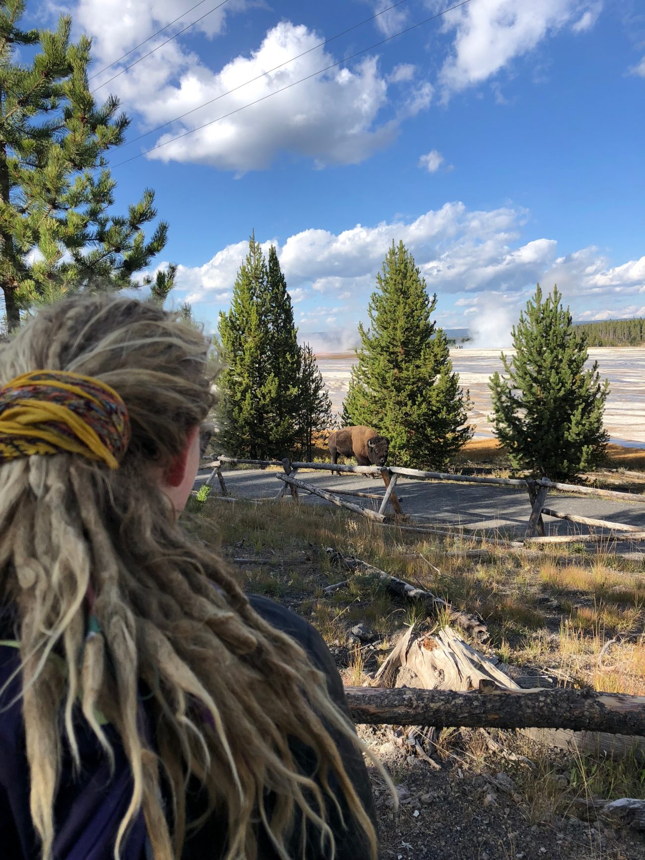 Yellowstone National Park