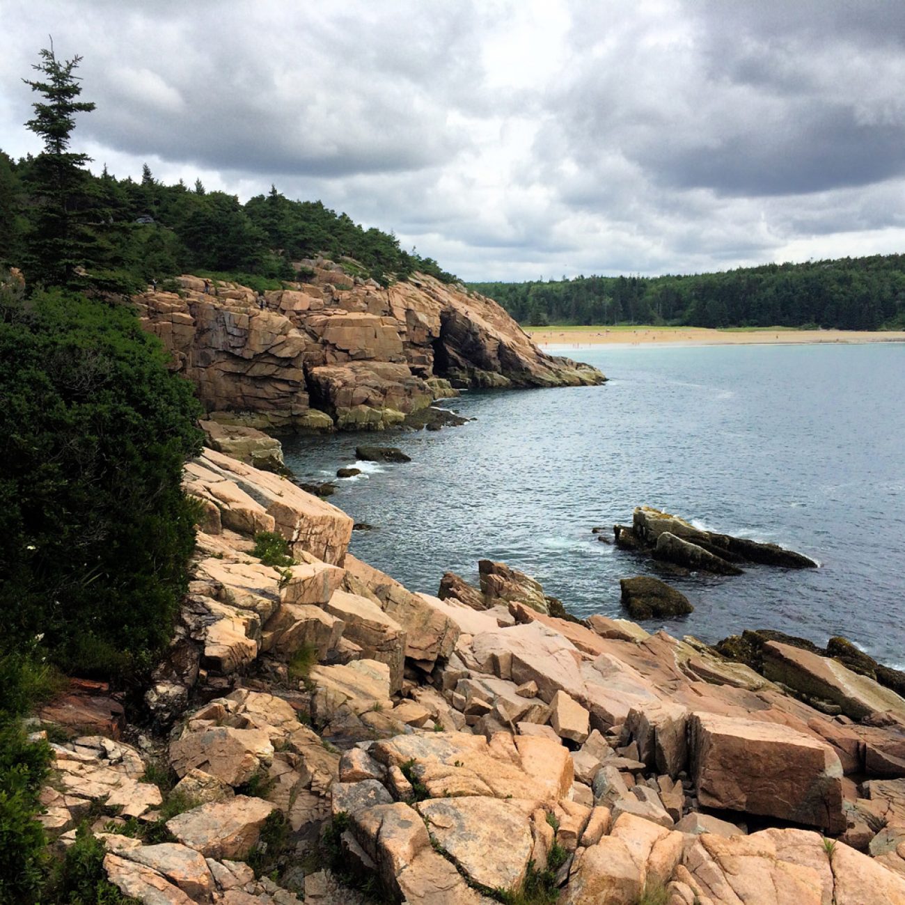 Beautiful Acadia National Park - Tiny Shiny Home