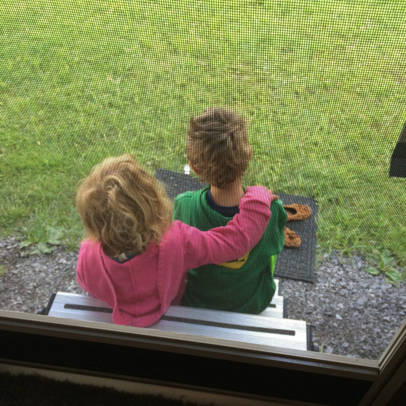 Ada and Jax