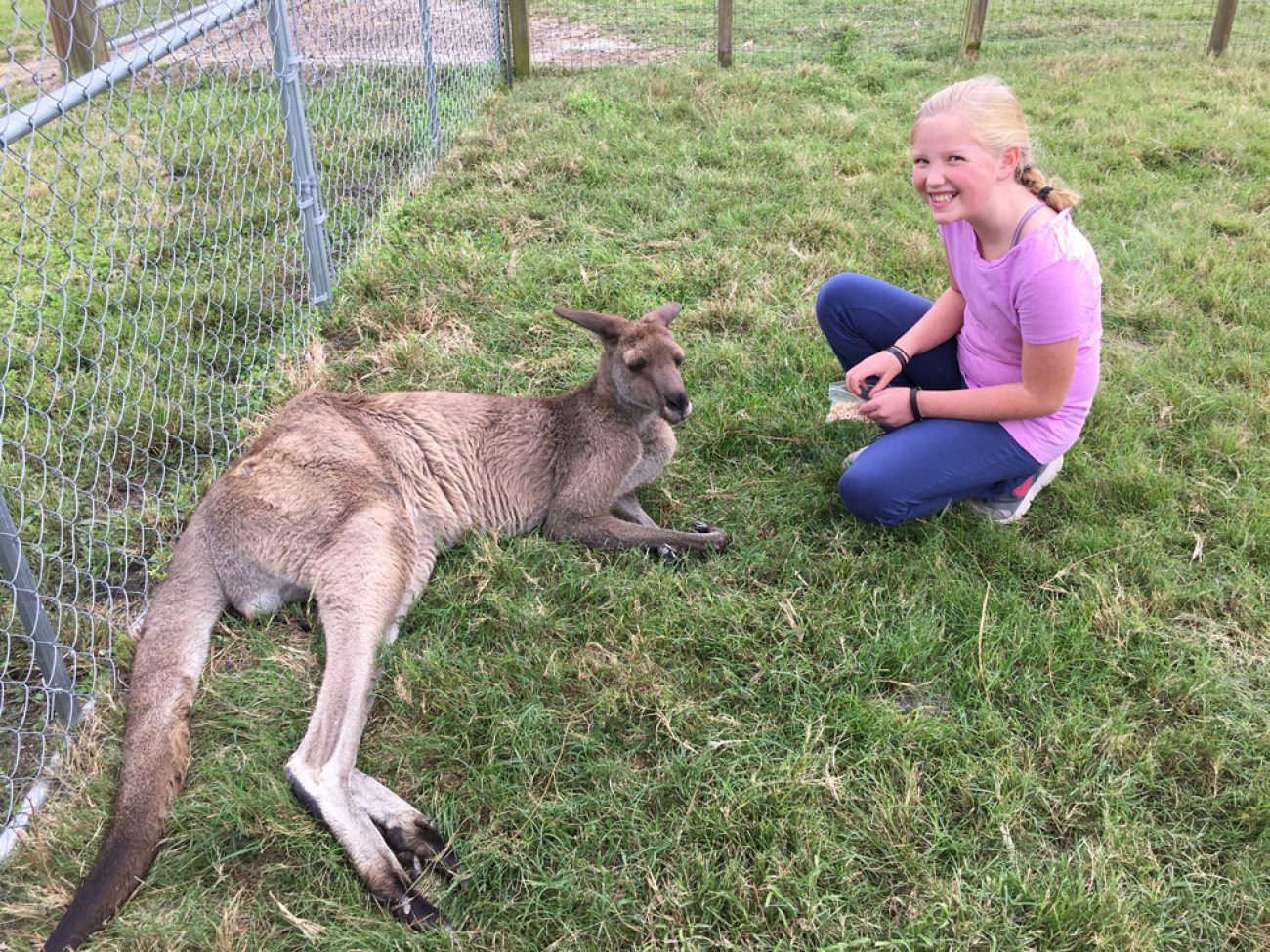 Adali Happy Kanga