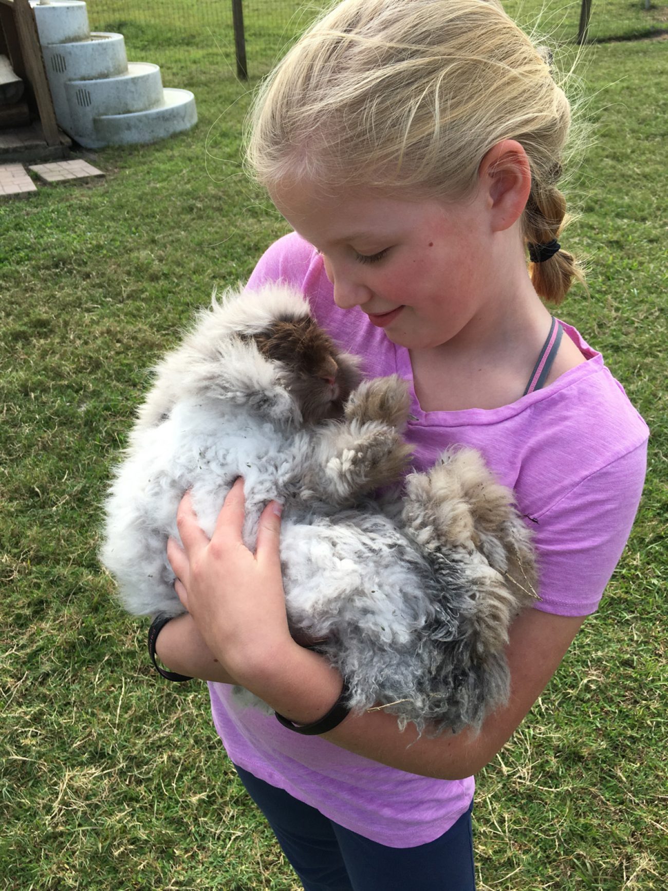 Adali and Rabbit