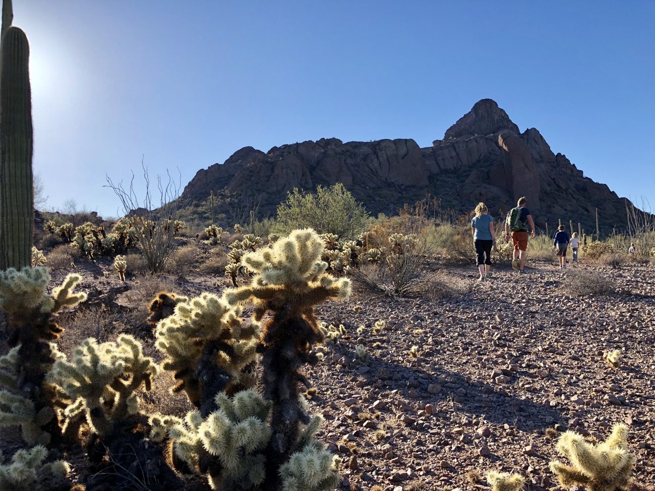 Ajo Family Mountain