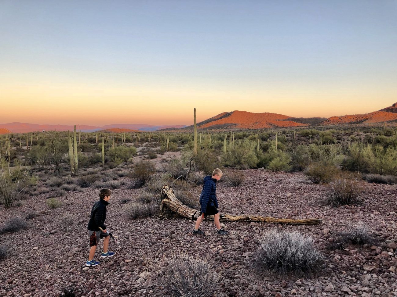 Ajo Jett Jax Sunset