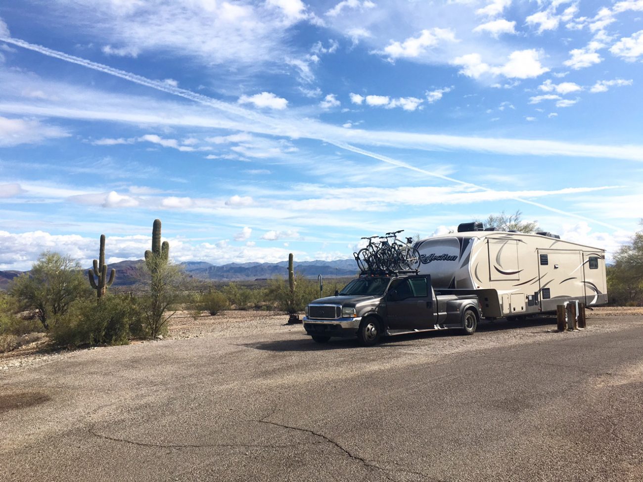 Best Site At Alamo Lake Sp