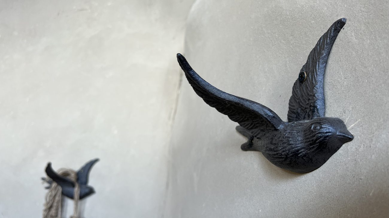 Bird hooks mounted to wall