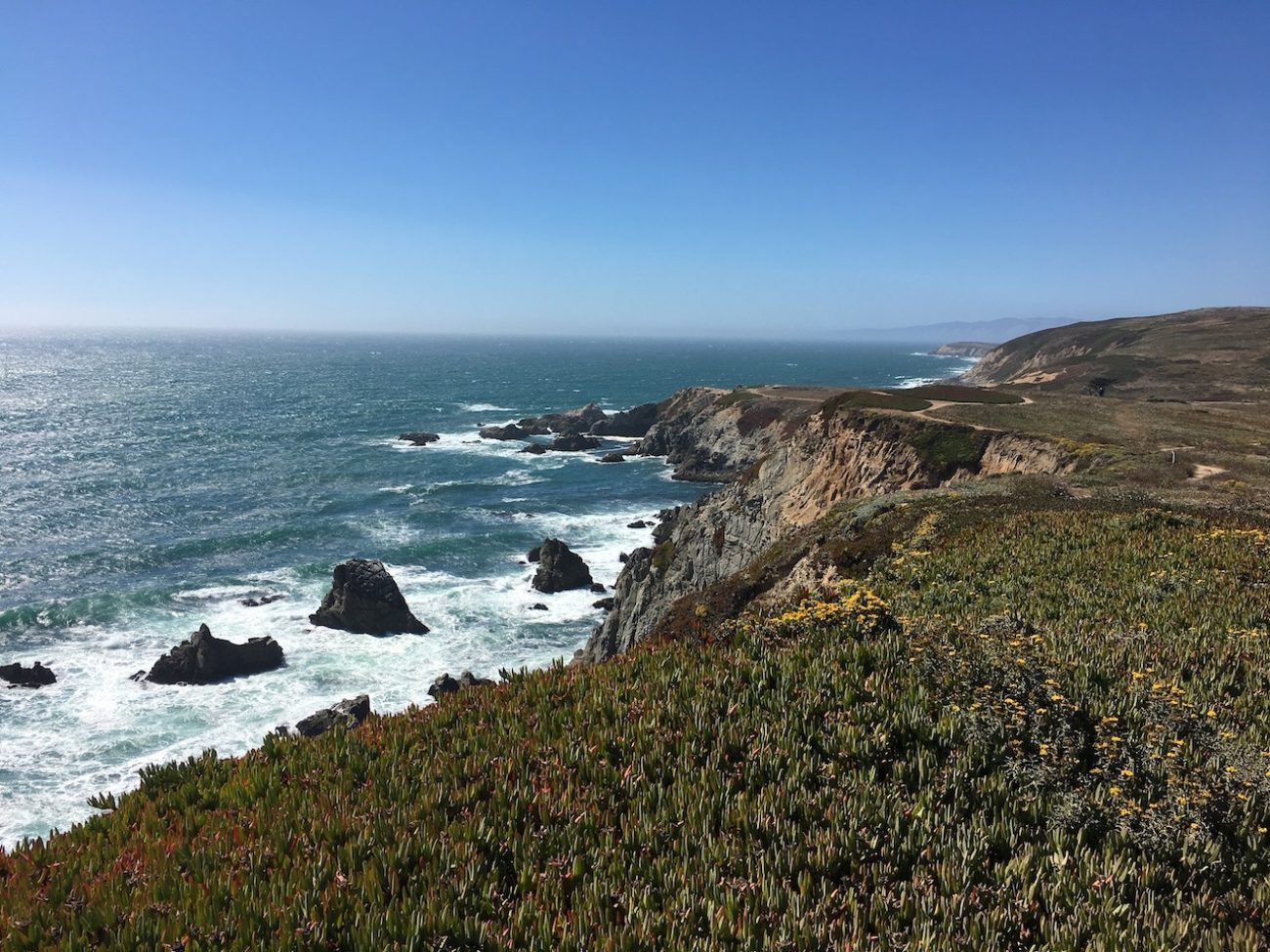 bodega bay beauty