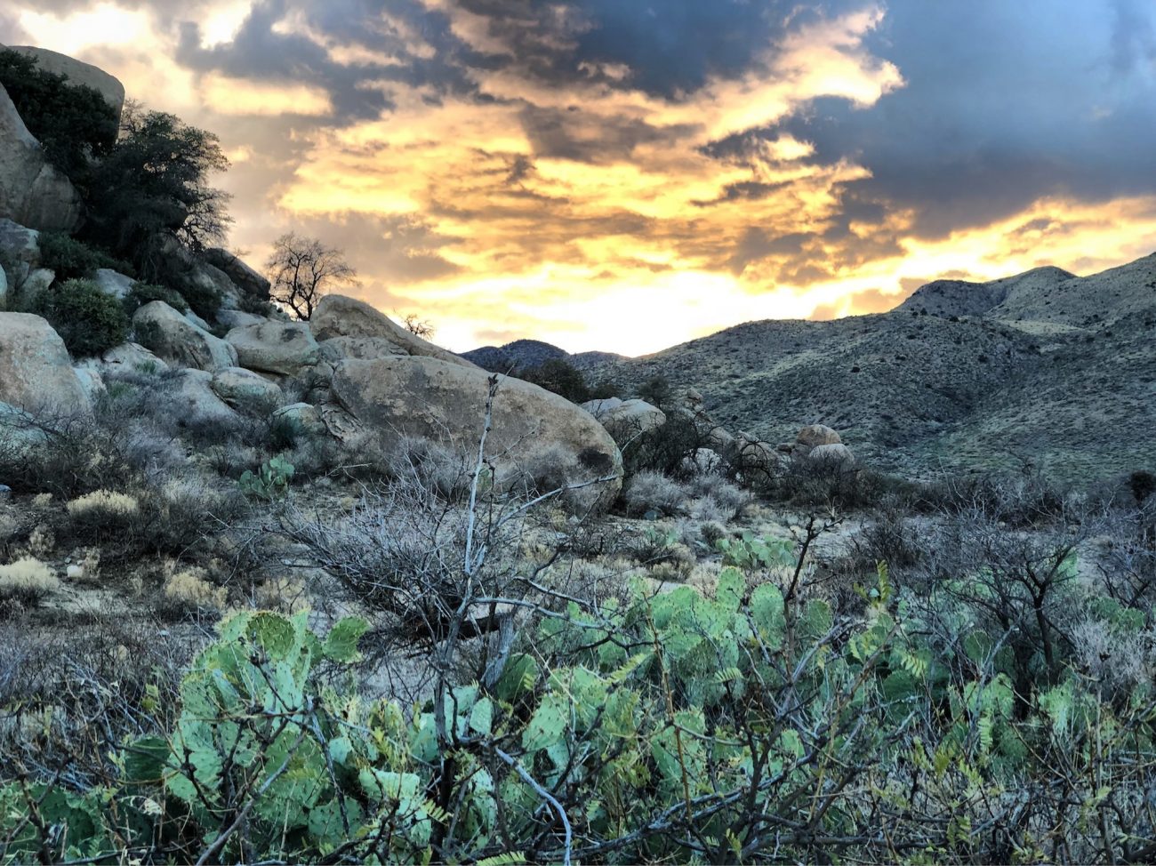 Boondocking outside of Wilcox, AZ