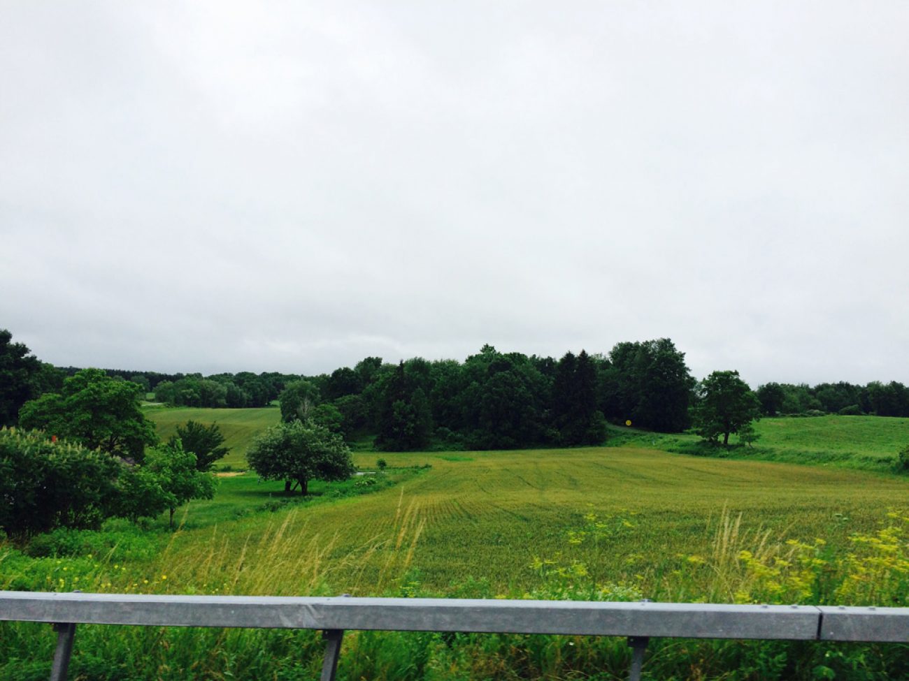 Bristol Campground View