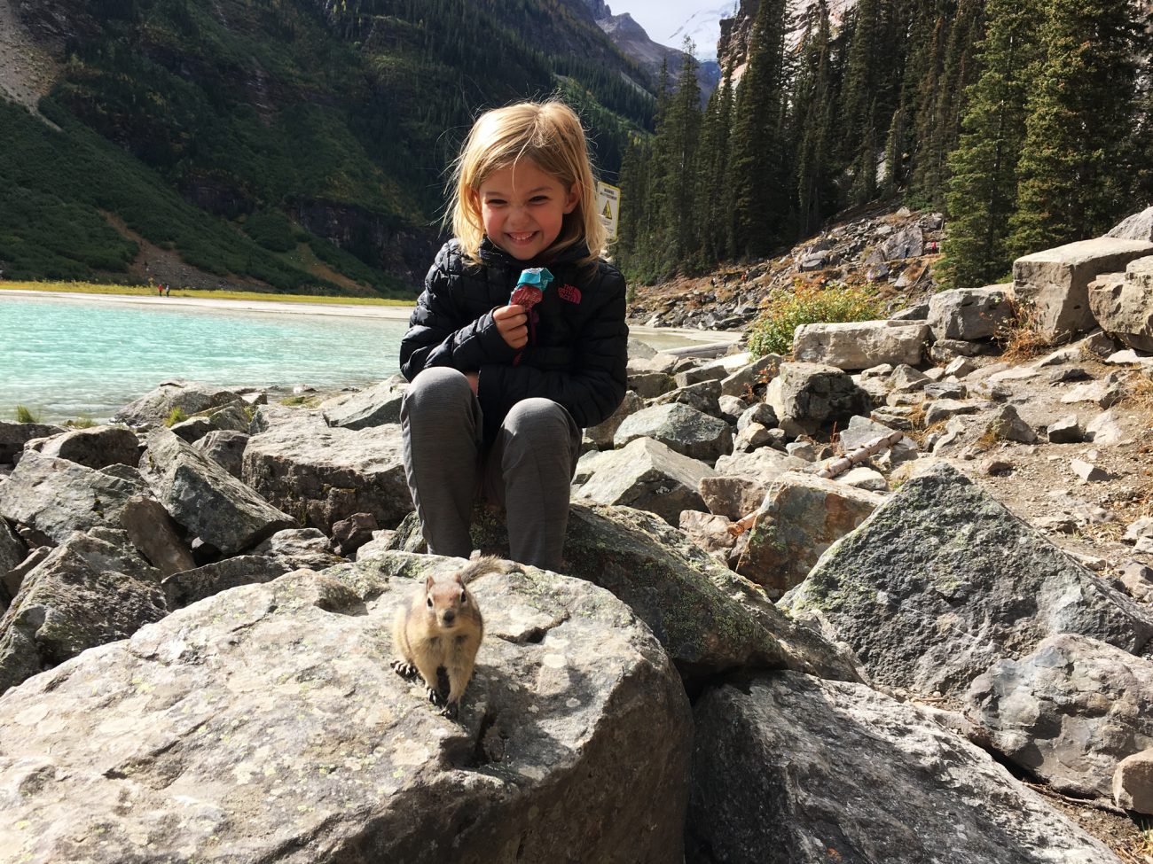 Canada Lake Louise Ada Chipmunk