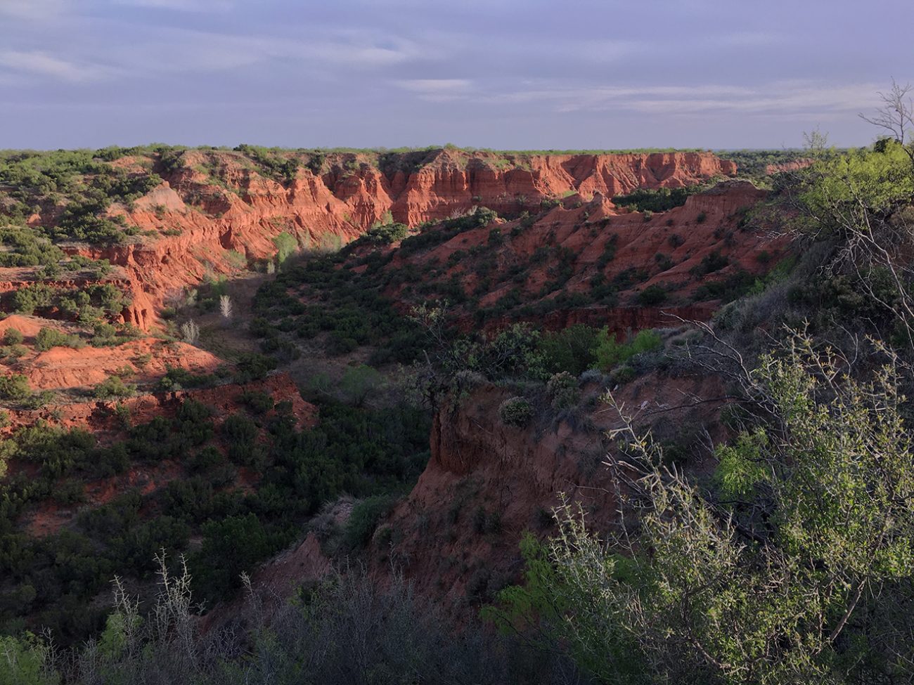 Caprock Canyon