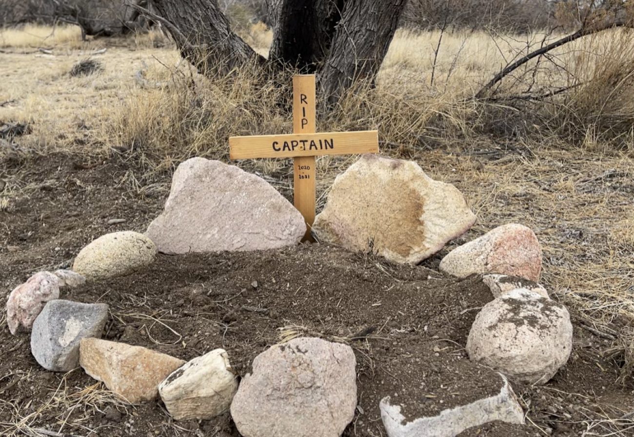 captain kidd burial site