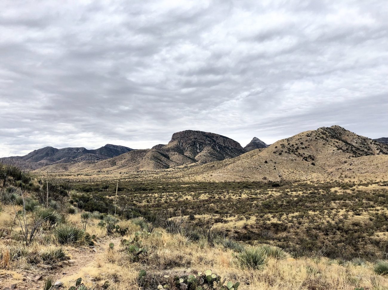 View of the Coronado National Forest from Kartchner Caverns