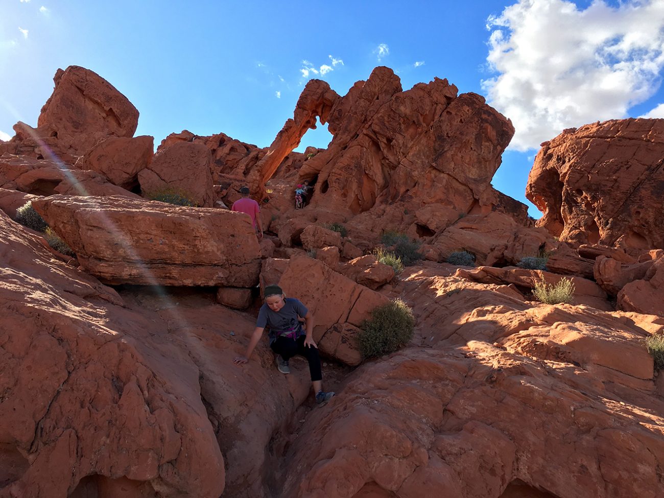 Elephant Rock