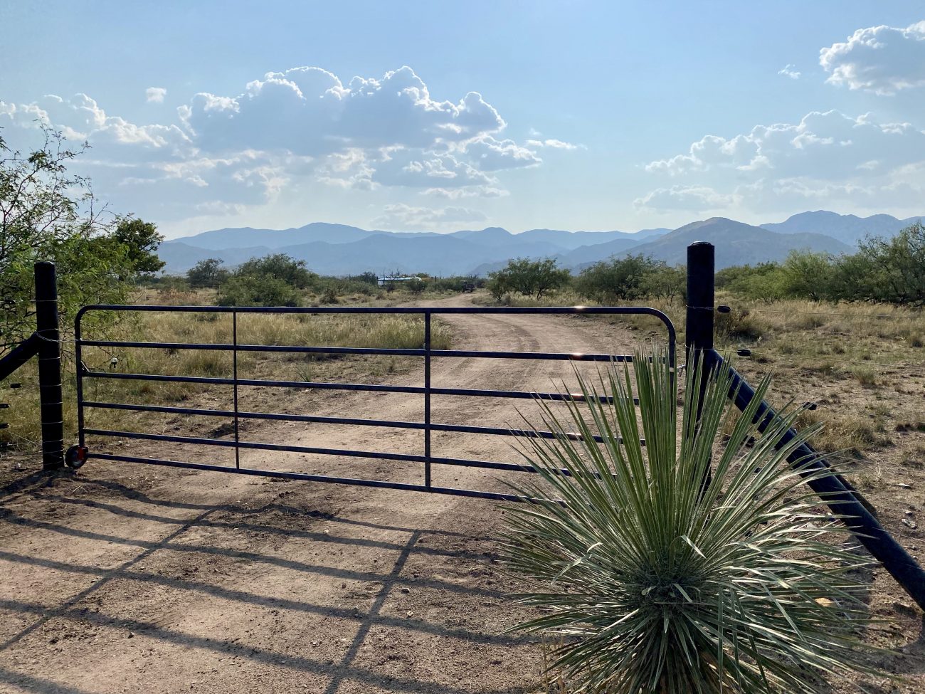 timeless fence