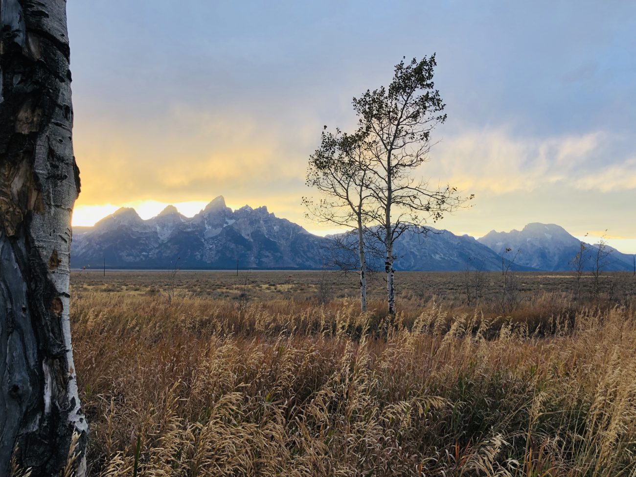 Grand Teton Susnet