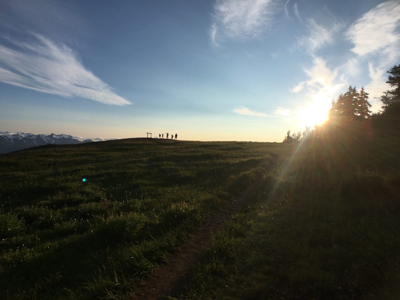 hurricane ridge