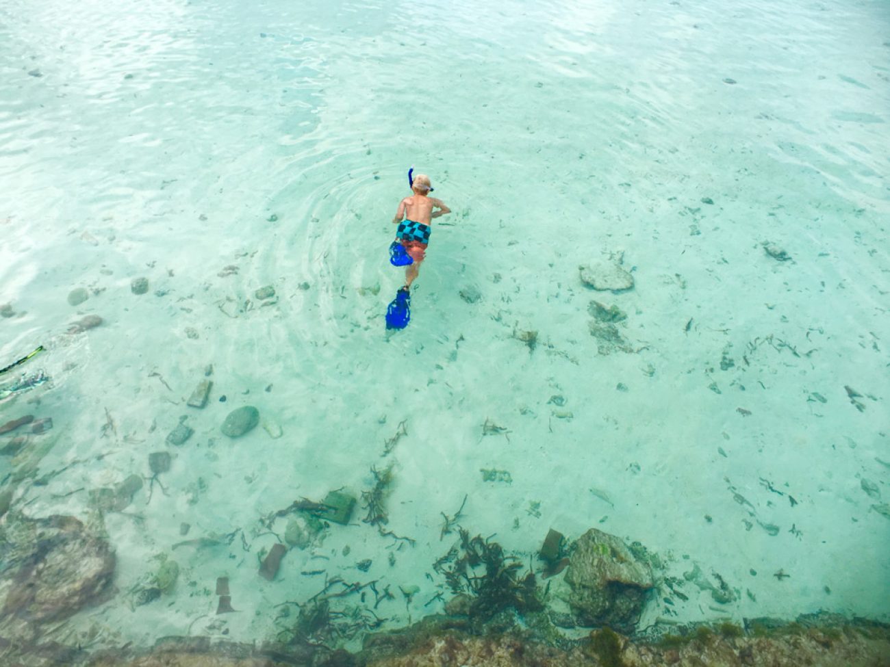 Jett goes snorkeling