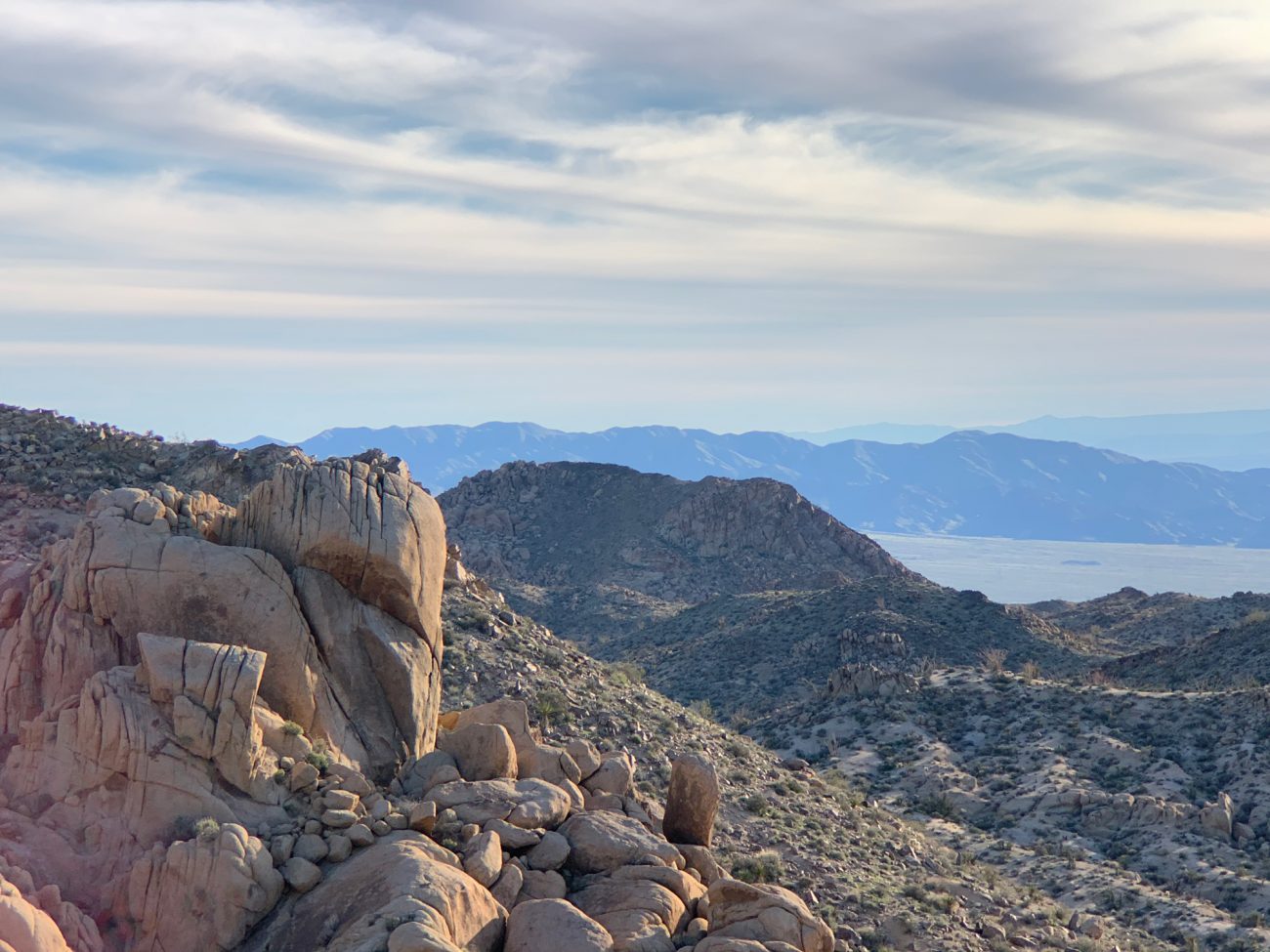 Joshua Tree South
