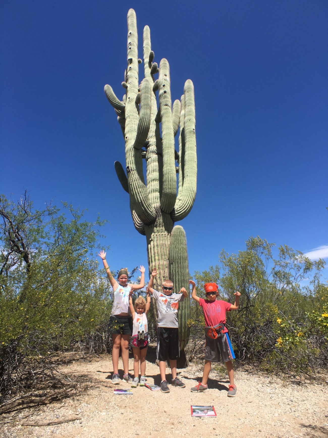 Saguaro National Park and New Friends - Tiny Shiny Home