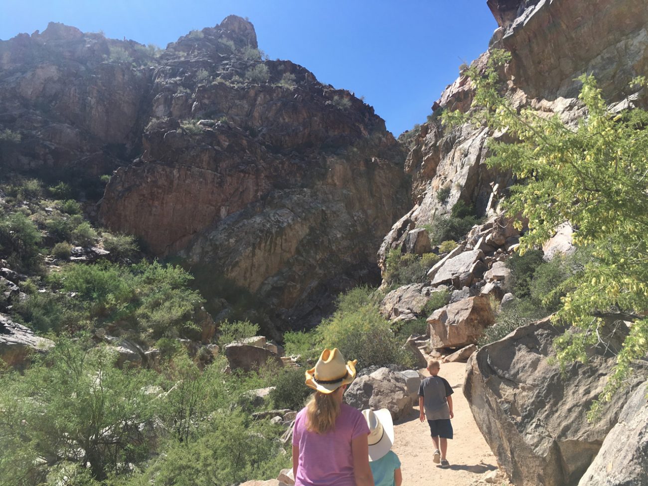 Kids hike with dad