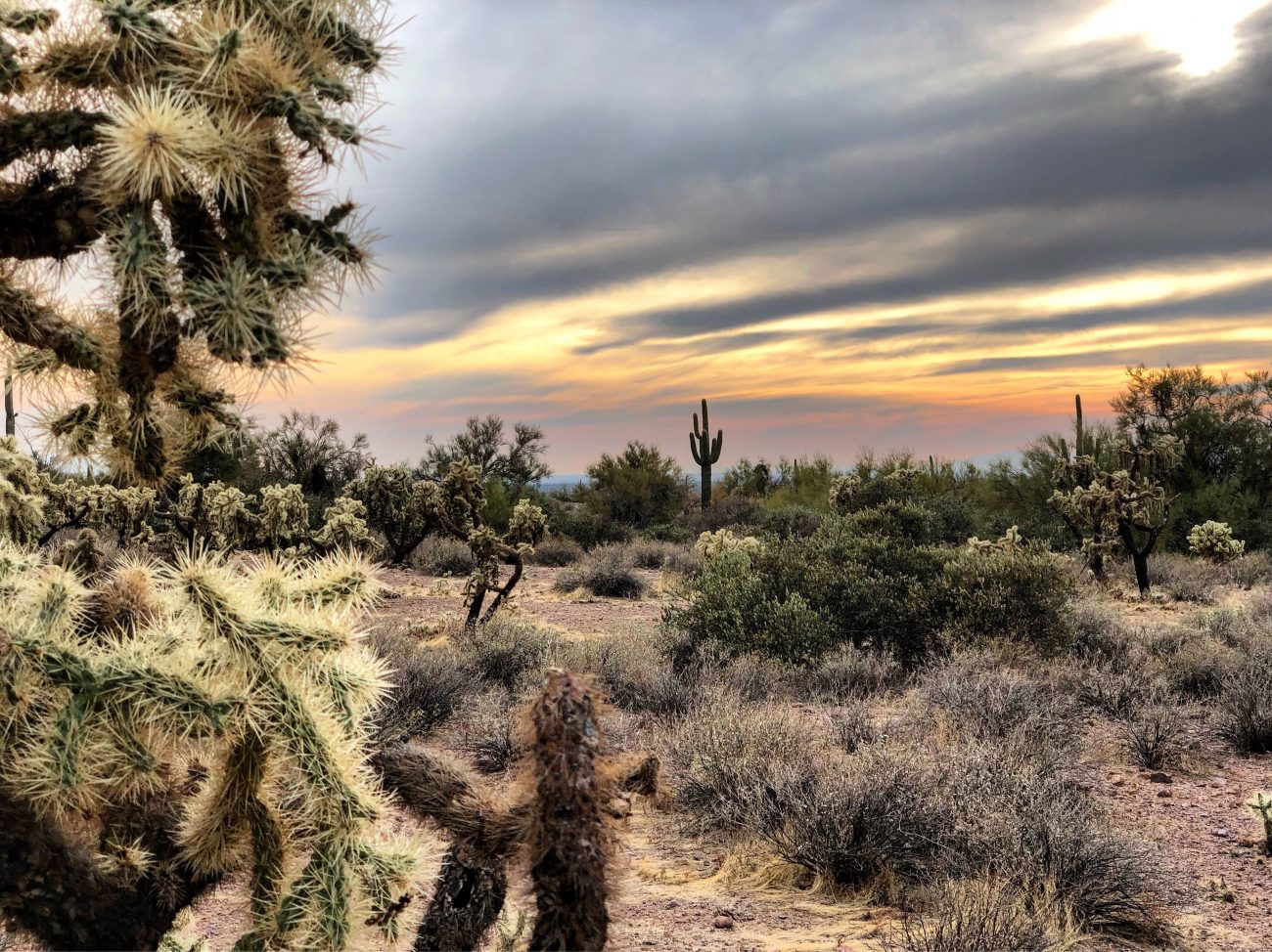 Lost Dutchman State Park
