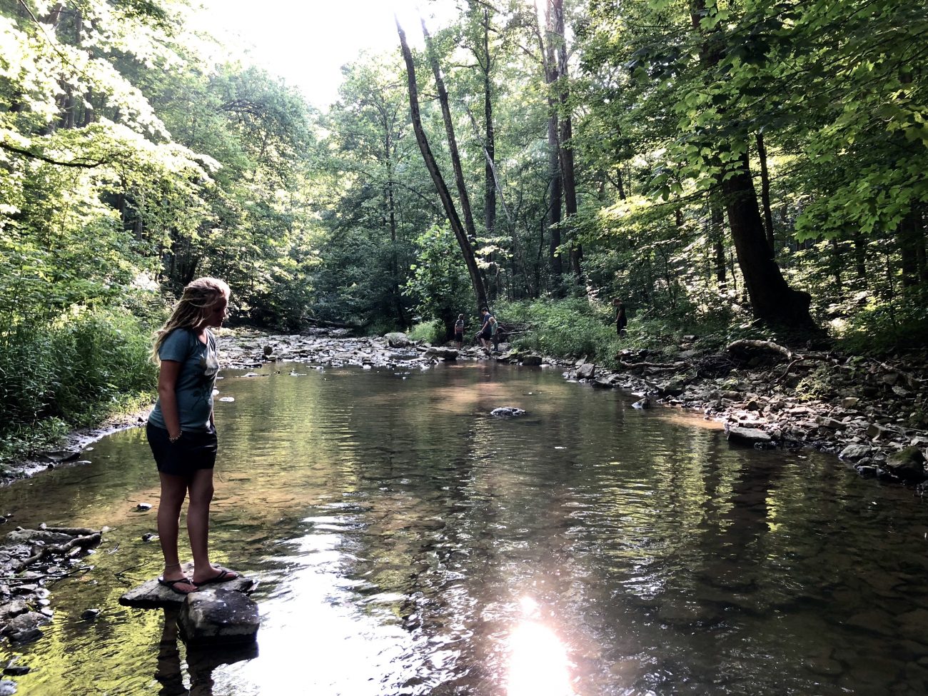 Mccormicks Creek