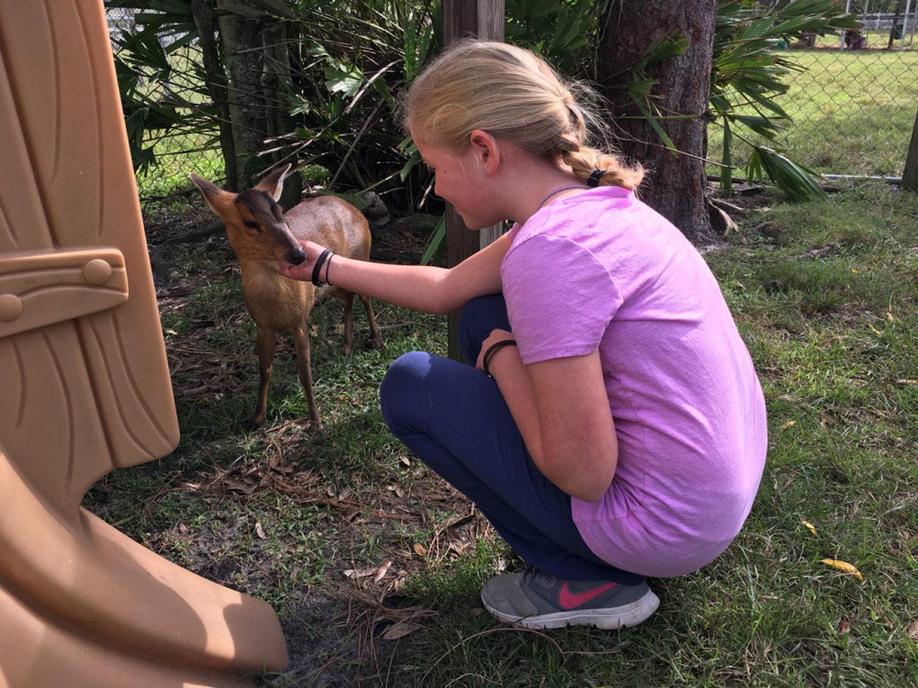 Mia Deer And Adali