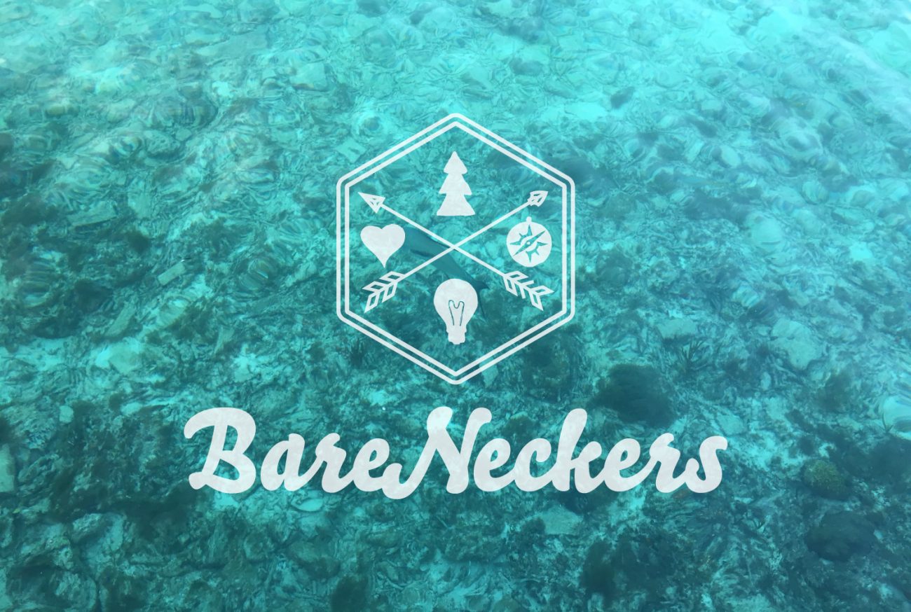 BareNeckers Logo