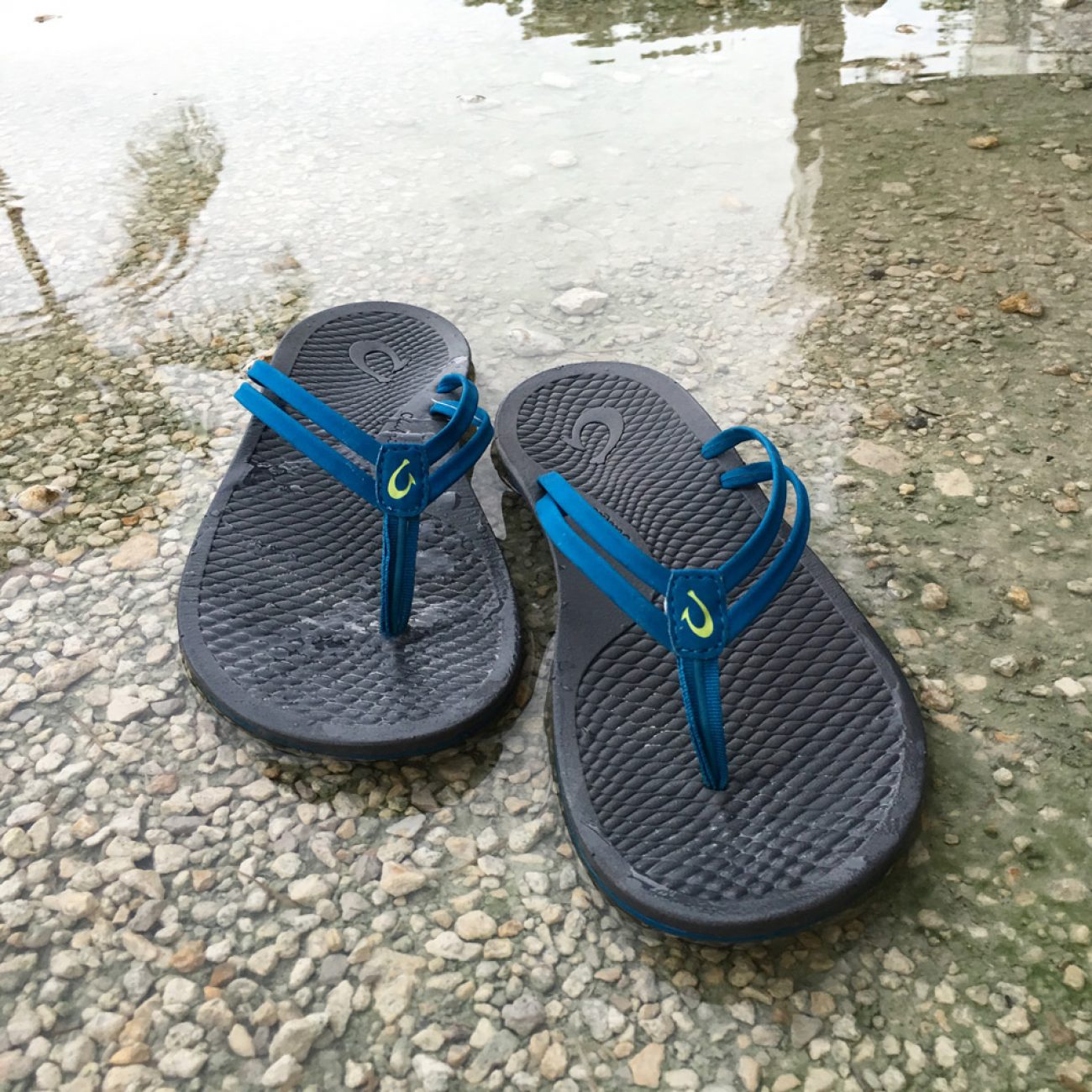 Olukai flops best sale